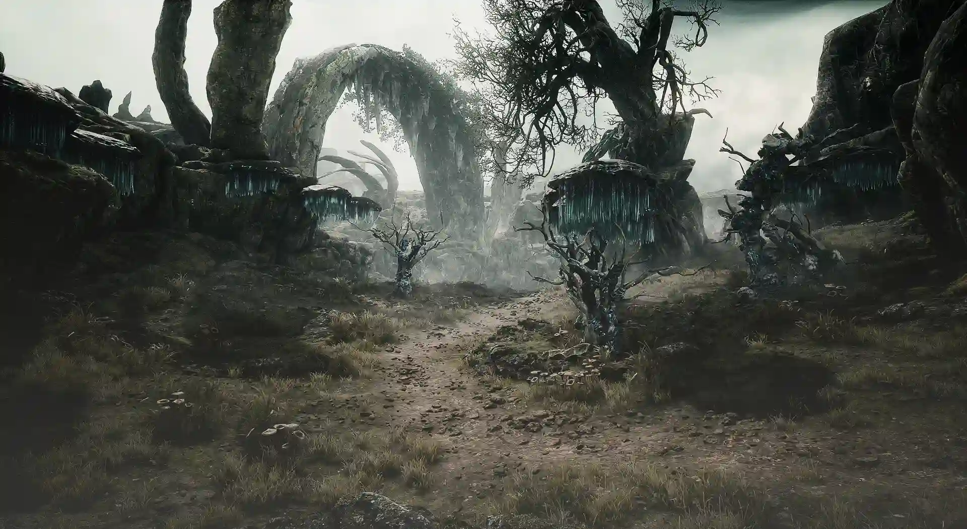 荒原先驱游戏封面